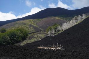 Etna-Nature-and-Flavours-from-Catania-6
