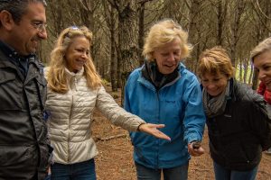 Truffle Hunting