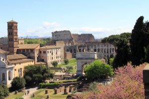 Rome_Palatine_Hill seen from above