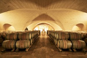 Apulia_wine cellar