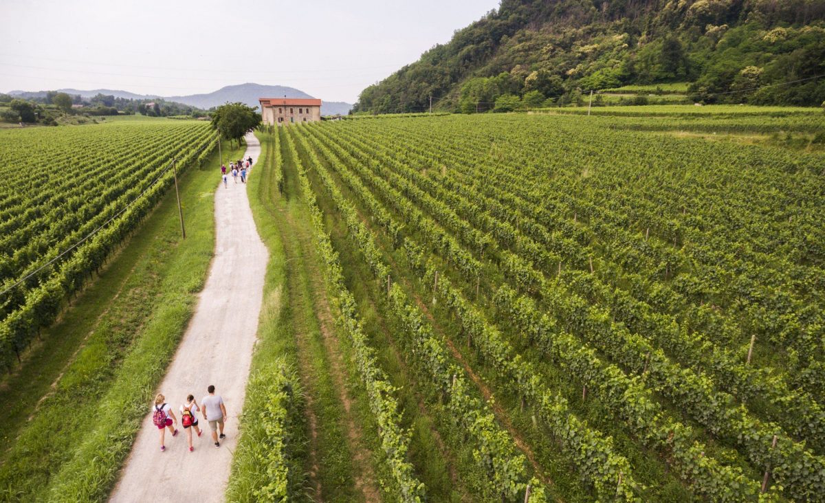 franciacorta winery tour