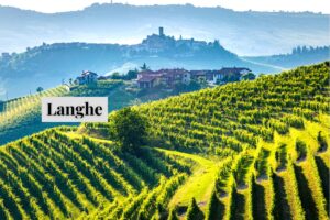 Langhe goitalytours