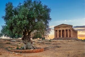 agrigento (4)